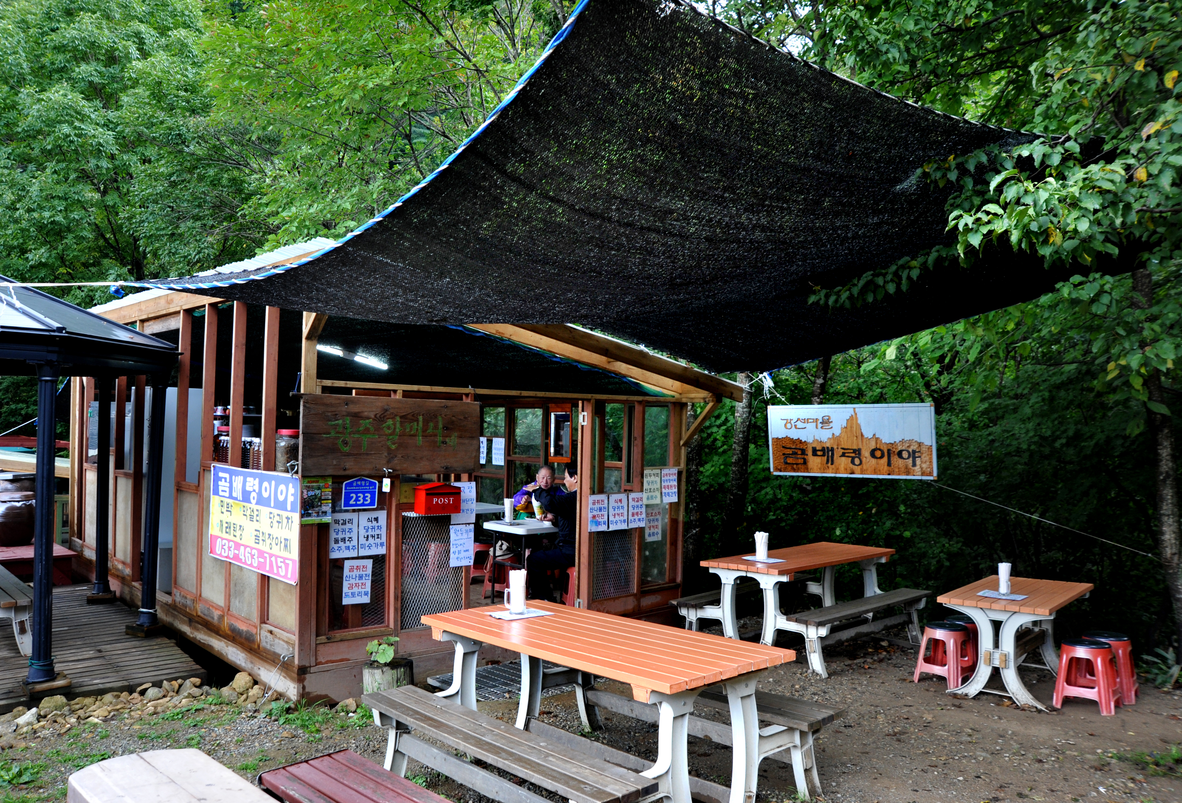 3529860950_kbCulOGT_SOF_9078-1.jpg 이미지