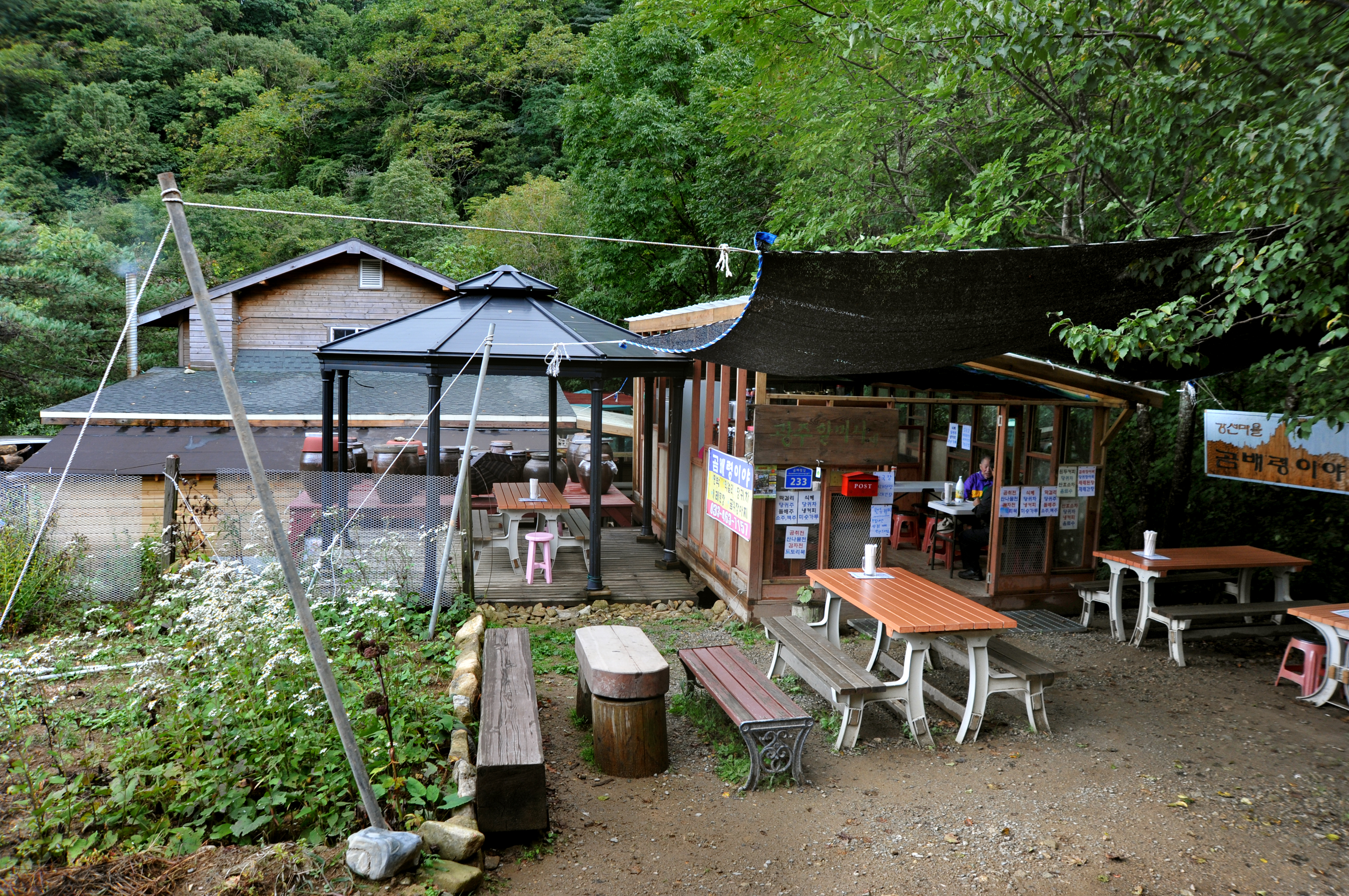 3529860950_qnU29405_SOF_9079-1.jpg 이미지